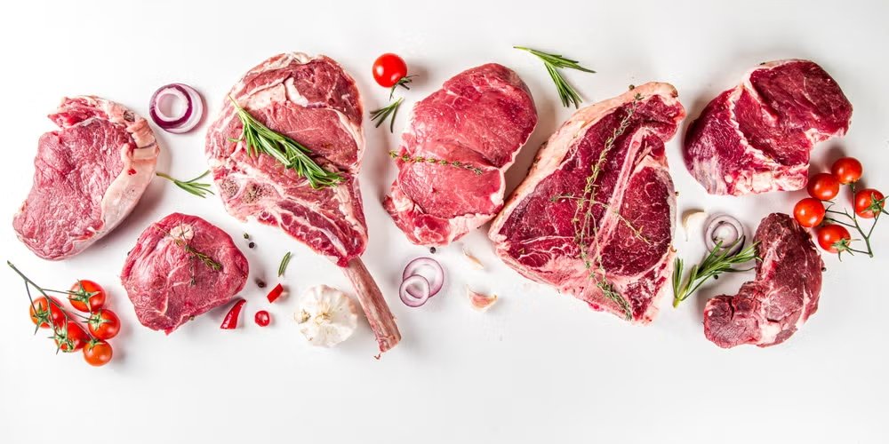 shutterstock 1753069370